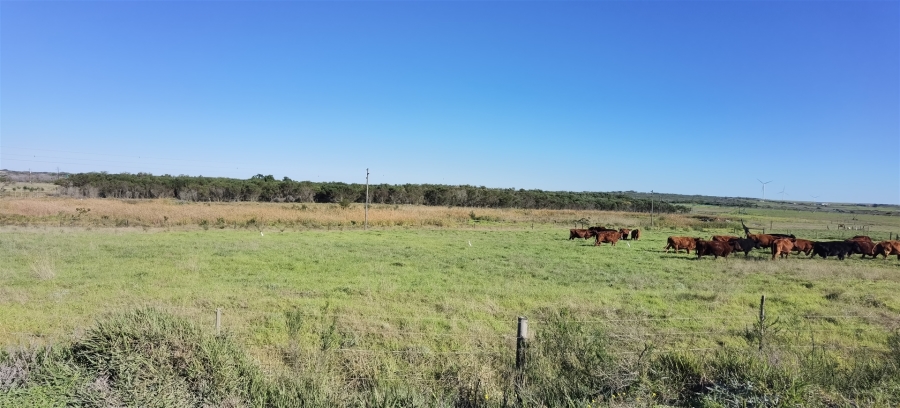 0 Bedroom Property for Sale in St Francis Bay Eastern Cape
